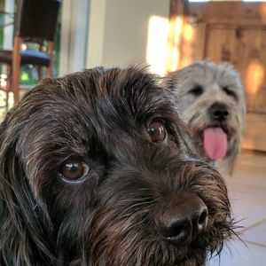 Meet your Posher, Ellen